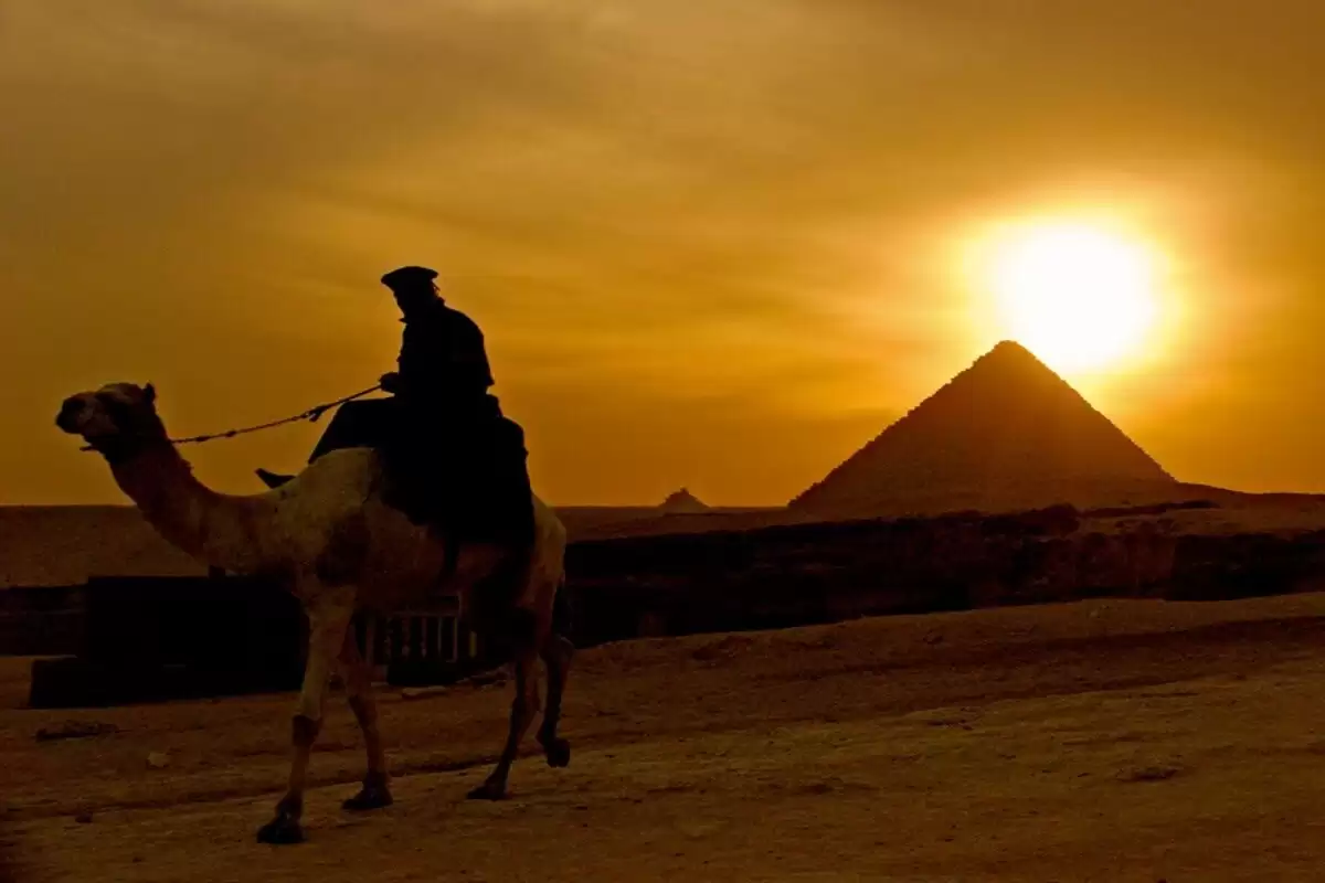 Camel ride or horse around the pyramids